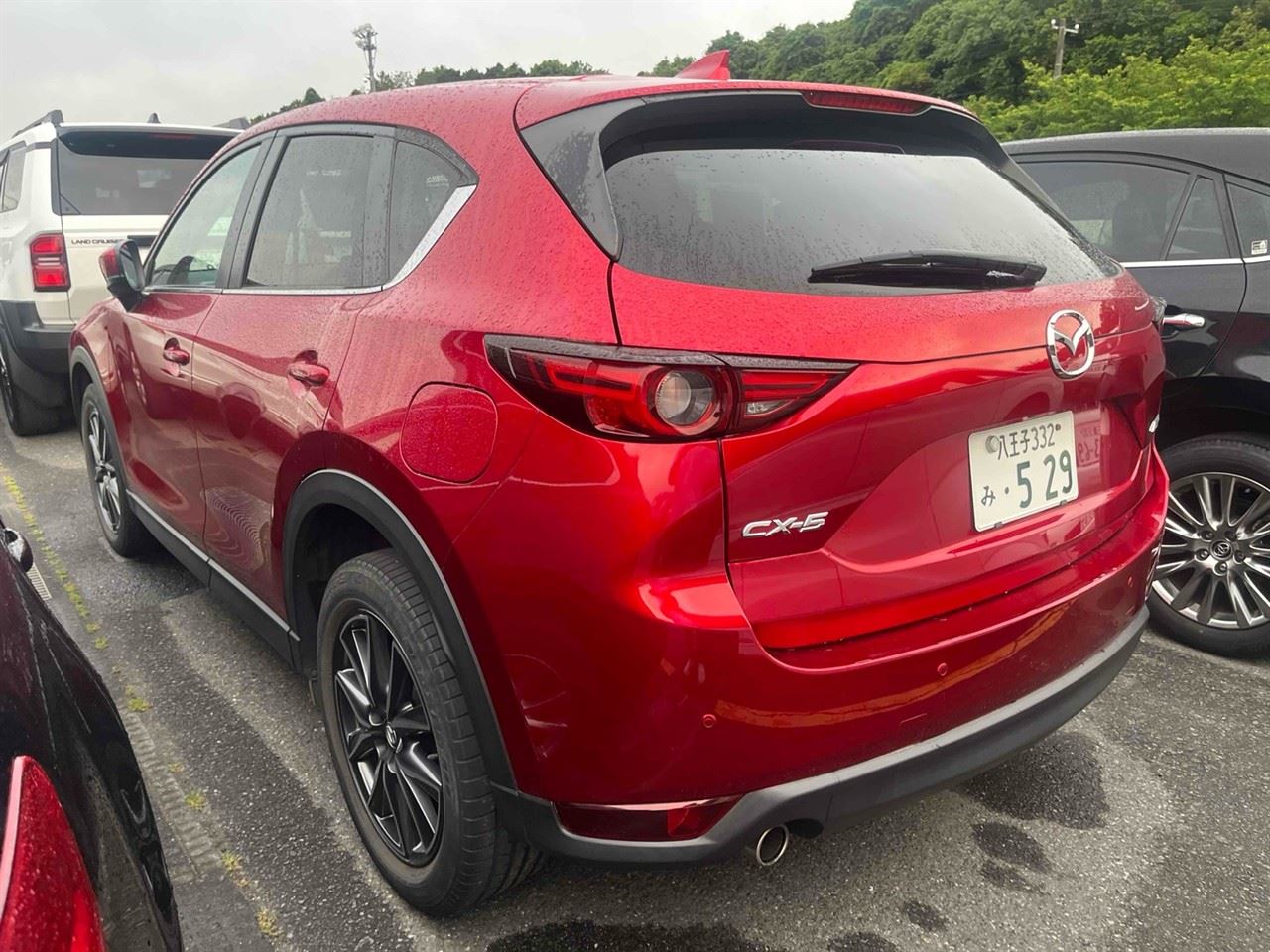 Vehicle image 4