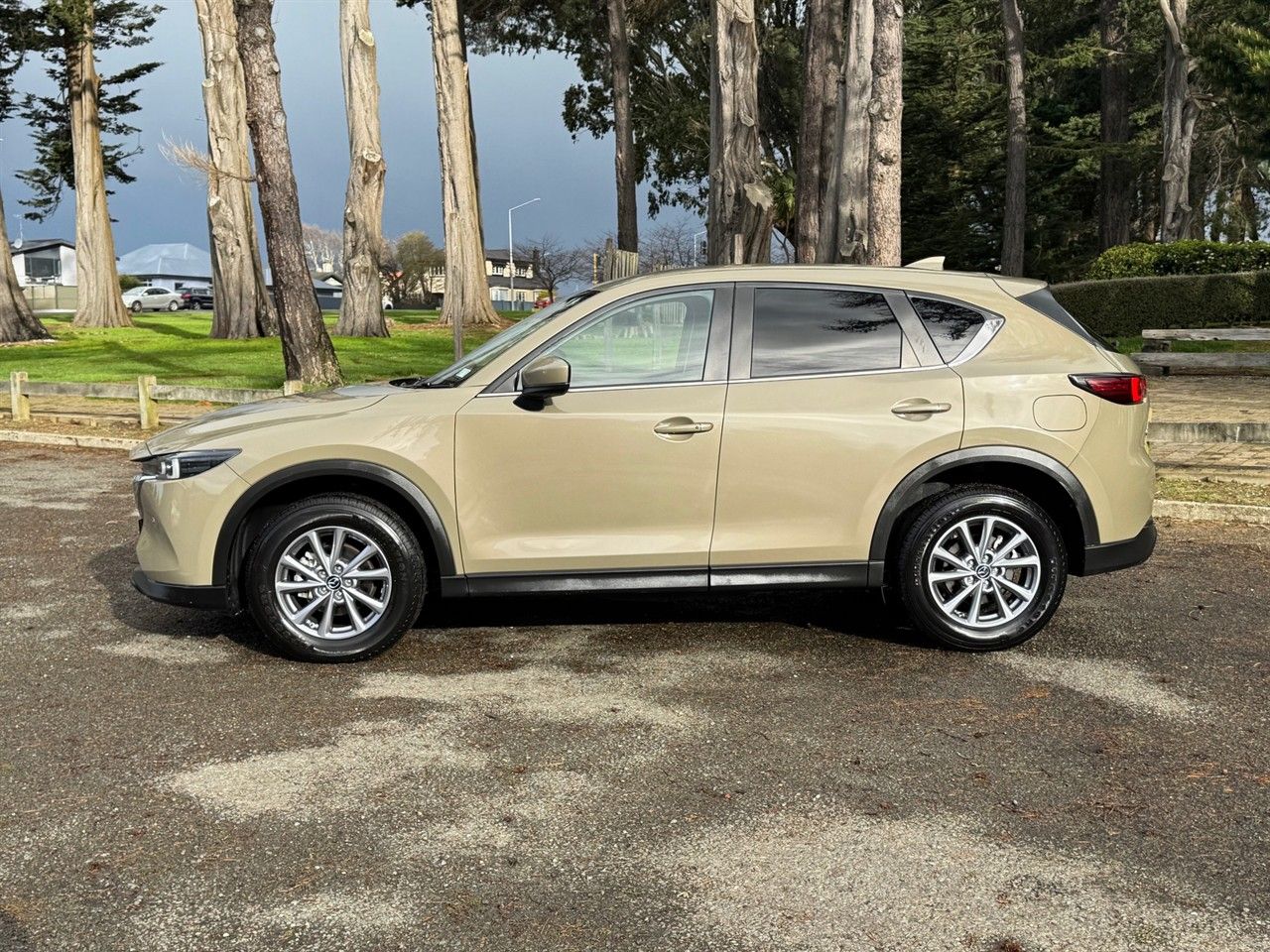 Vehicle image 4